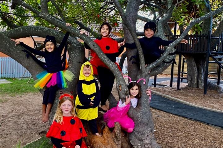 The selfish Ladybird