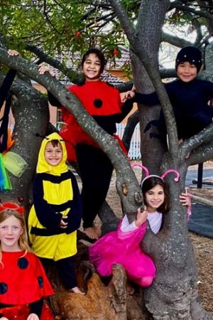 The selfish Ladybird