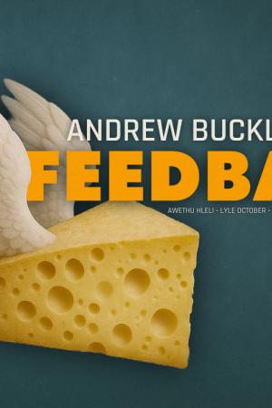Feedback