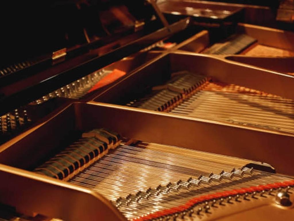 banner-10-25-webtickets-image-laura-searle-piano-competition-20240611-135804.jpg
