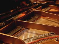 Laura Searle Prize for Piano Concerto Playing